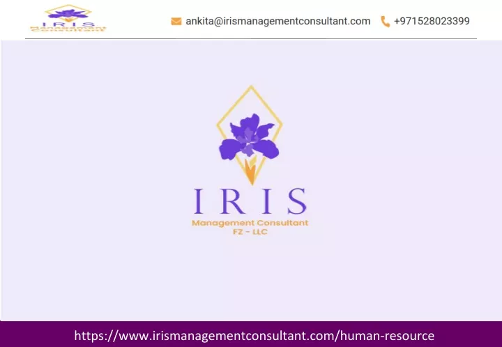 https www irismanagementconsultant com human