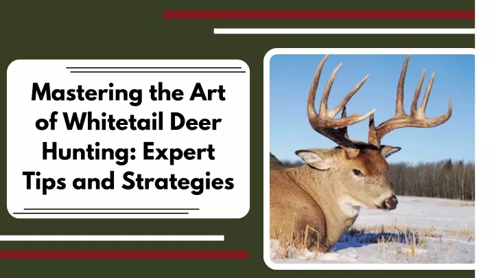 mastering the art of whitetail deer hunting