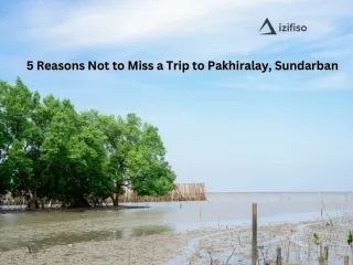 5 Reasons Not to Miss a Trip to Pakhiralay, Sundarban (1)
