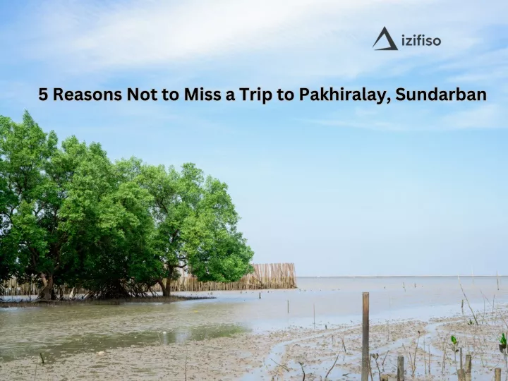 5 reasons not to miss a trip to pakhiralay