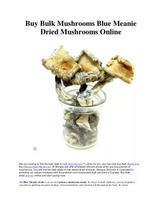 Buy Bulk Mushrooms Blue Meanie Dried Mushrooms Online