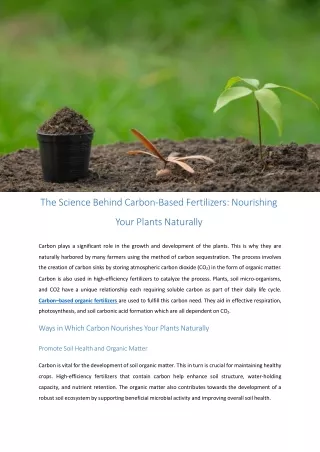 The_Science_Behind_Carbon_Based_Fertilizers_Nourishing_Your_Plants