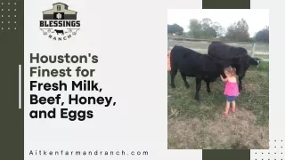 Houston's Finest for Fresh Milk, Beef, Honey, and Eggs
