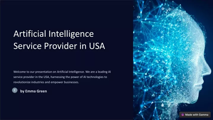 artificial intelligence service provider in usa