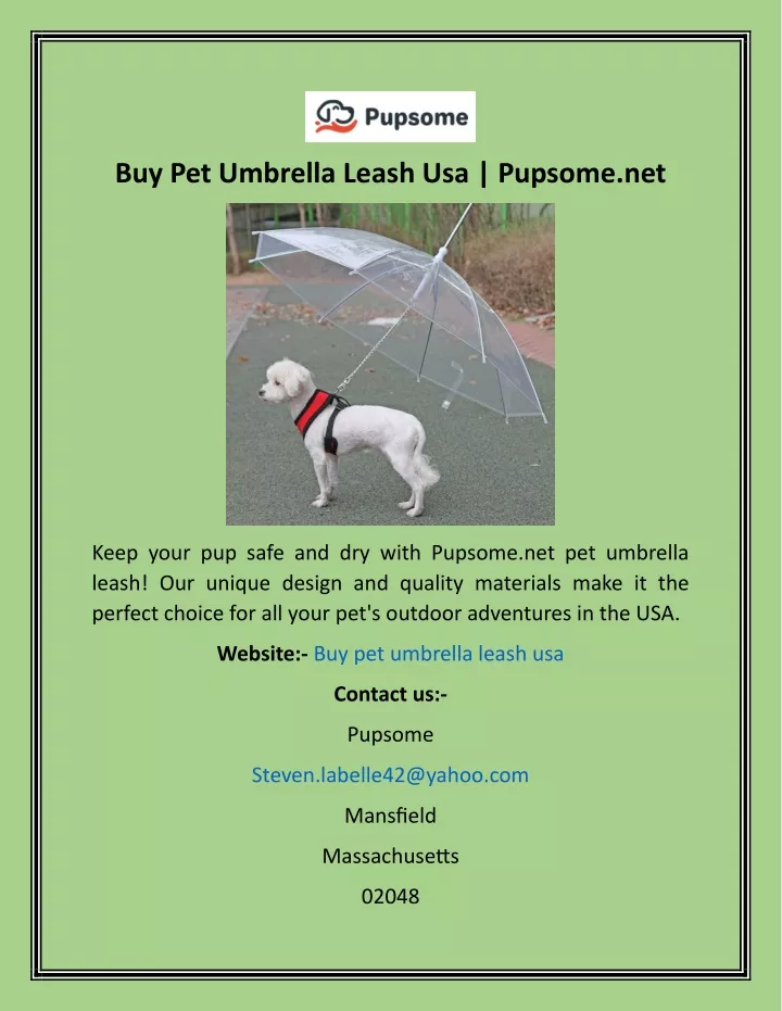 buy pet umbrella leash usa pupsome net