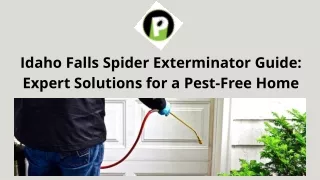 Idaho Falls Spider Exterminator Guide Expert Solutions for a Pest-Free Home