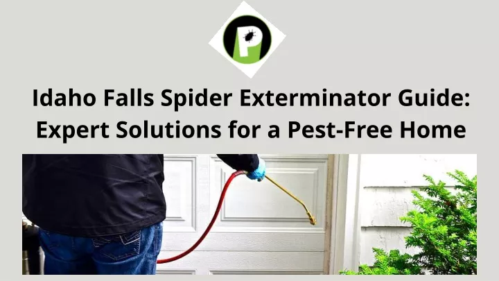 idaho falls spider exterminator guide expert