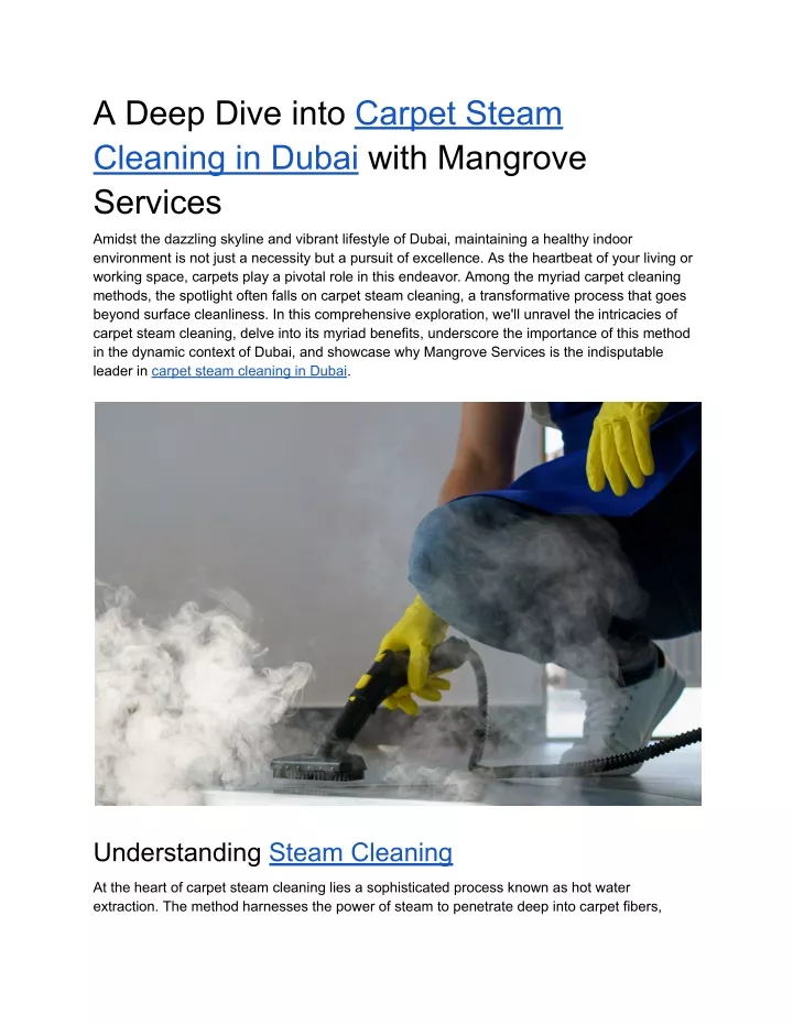 a deep dive into carpet steam cleaning in dubai