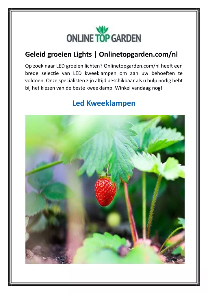 geleid groeien lights onlinetopgarden com nl