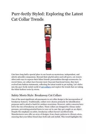 Purr-fectly Styled_ Exploring the Latest Cat Collar Trends