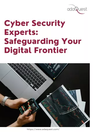 Cyber Security Experts Safeguarding Your Digital Frontier