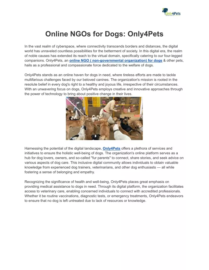 online ngos for dogs only4pets