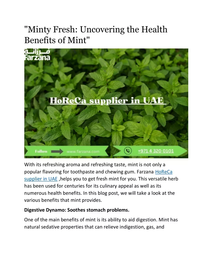 minty fresh uncovering the health benefits of mint