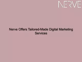 Nerve Offers Tailored-Made Digital Marketing Services