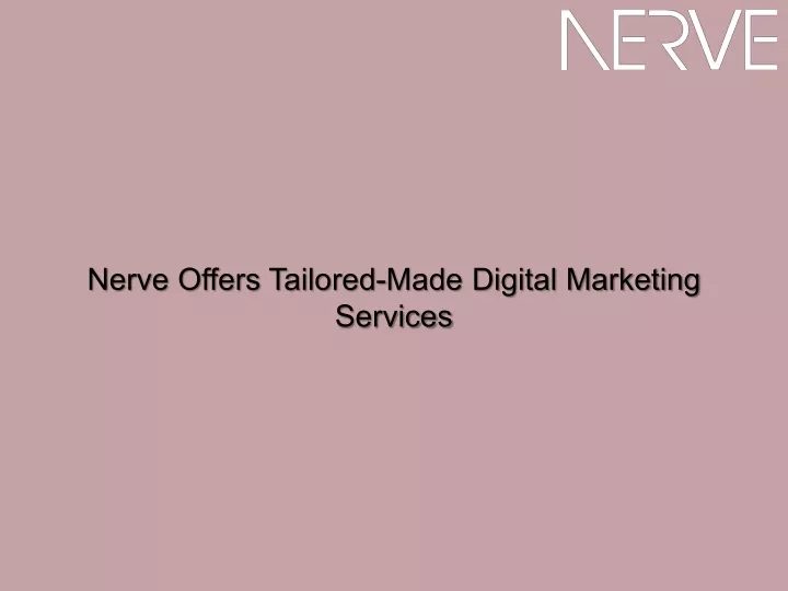 nerve offers tailored made digital marketing