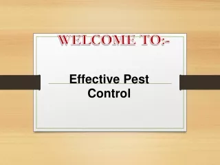 welcome to
