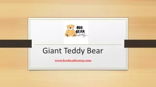 Best Giant Teddy Bear