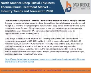 North America Deep Partial-Thickness Thermal Burns Treatment Market – Industry Trends and Forecast to 2030