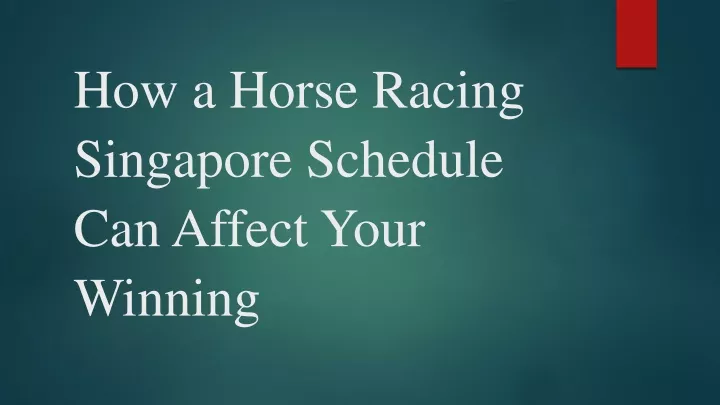 how a horse racing singapore schedule can affect