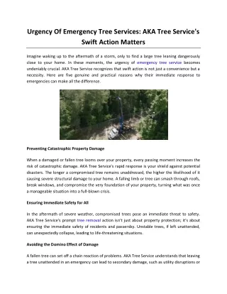 Urgency Of Emergency Tree Services AKA Tree Service's Swift Action Matters