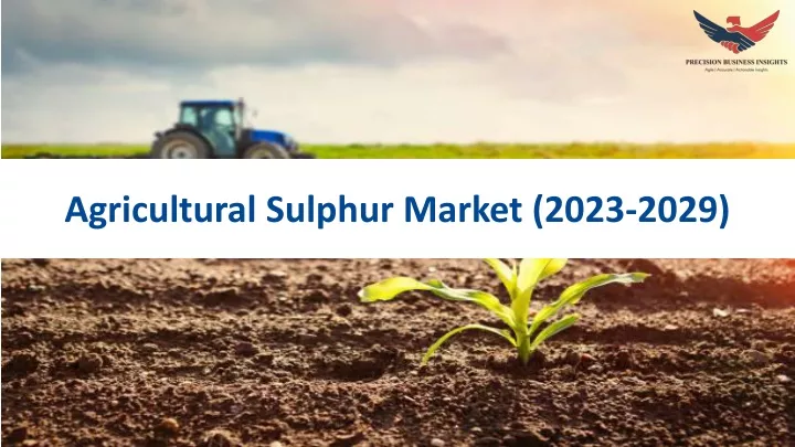 agricultural sulphur market 2023 2029