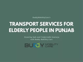Elderly Transport Excellence: Buddy Mobility Care's Services in Punjab