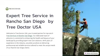 Expert Tree Service in Rancho San Diego  by Tree Doctor USA