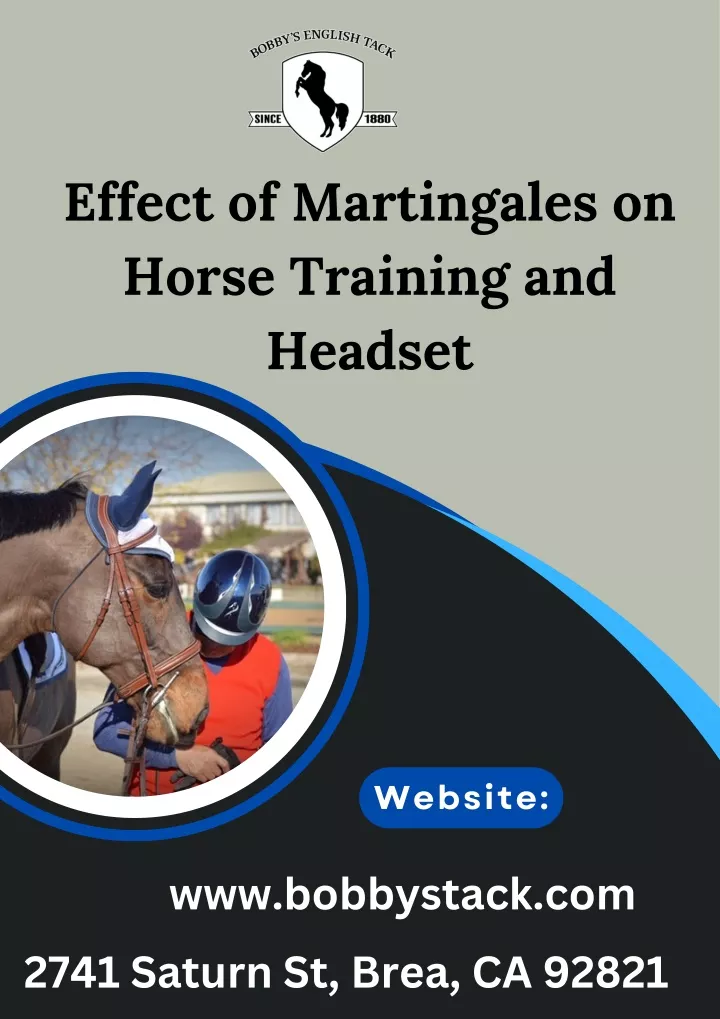 effect of martingales on horse training