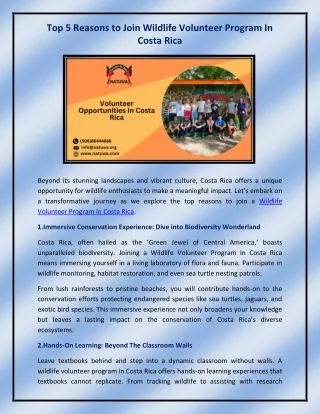 Volunteer Opportunities In Costa Rica