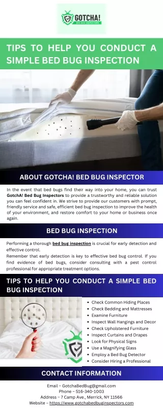 Tips to Help You Conduct a Simple Bed Bug Inspection