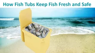 How To Keep Fish Fresh and Safe