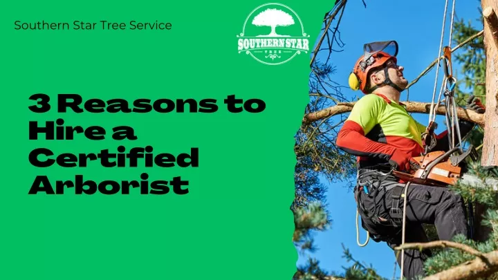 southern star tree service