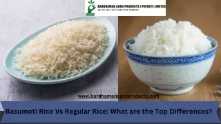 www bardhamanagroproducts com