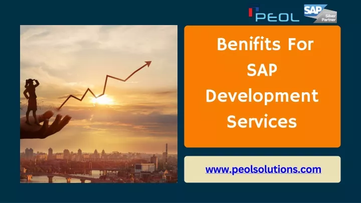 benifits for sap development services