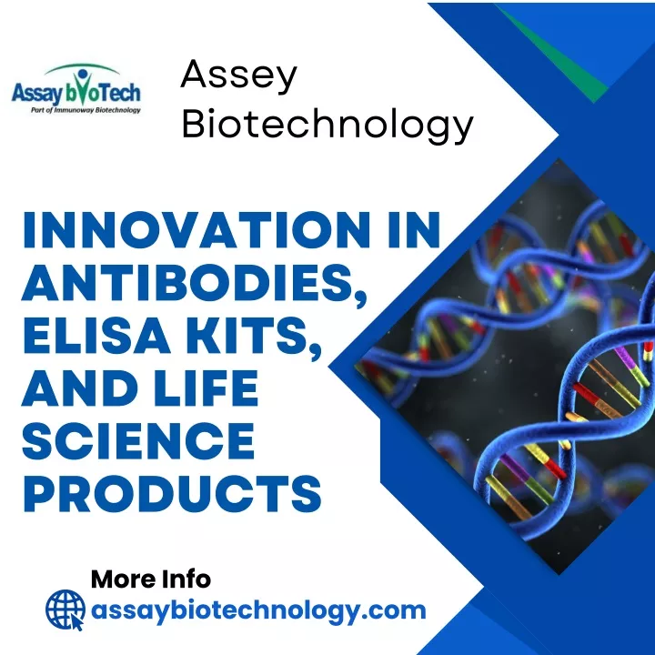 assey biotechnology