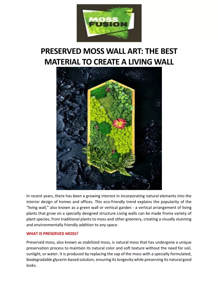preserved moss wall art the best material