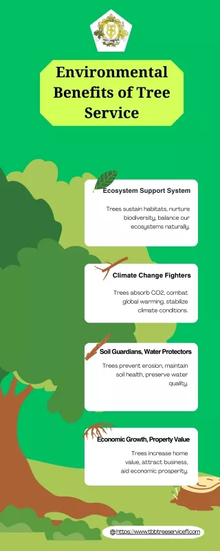 Environmental Benefits of Tree Service