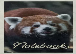 [PDF] Download⚡️ Notebook⚡️: Baby Red Panda Compact Composition Book Journal Diary f