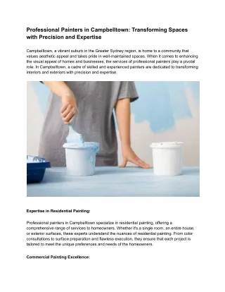 professional painters in campbelltown