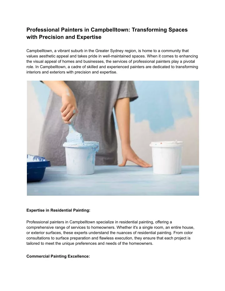 professional painters in campbelltown