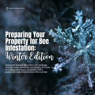Preparing Your Property For Bee Infestation Winter Edition