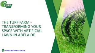 Artificial Lawn Adelaide--The Turf Farm