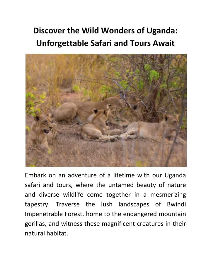 discover the wild wonders of uganda unforgettable