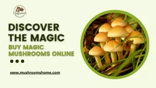 Discover the Magic: Buy Magic Mushrooms Online