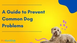 A Guide to Prevent Common Dog Problems in Dogs!