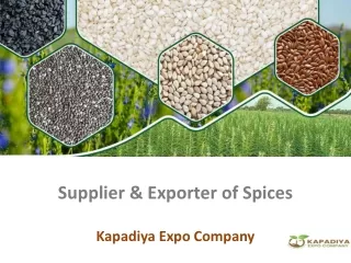 Supplier & Exporter of Spices - Kapadiya Expo Company