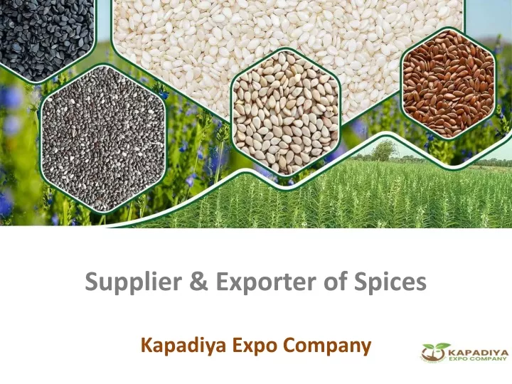 supplier exporter of spices kapadiya expo company