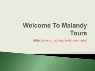 welcome to malandy tours