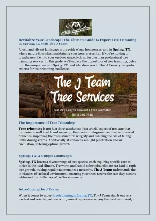 The Ultimate Guide to Expert Tree Trimming in Spring, TX with The J Team