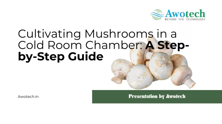 cultivating mushrooms in a cold room chamber